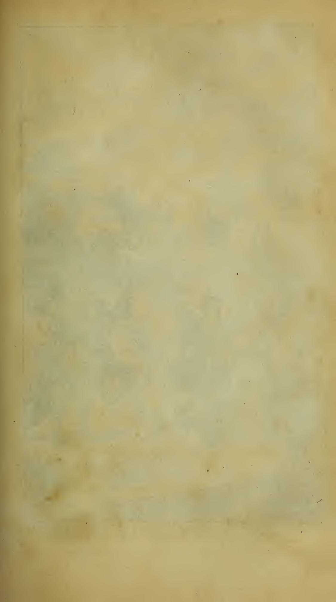 Image of page 185